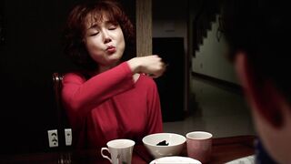 家教高级课程.Private.Tutor.Advanced.Course.2016.HD1080P.韩语中字